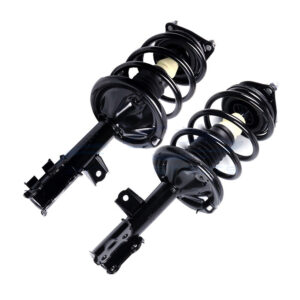 Complete Struts for Hyundai Elantra